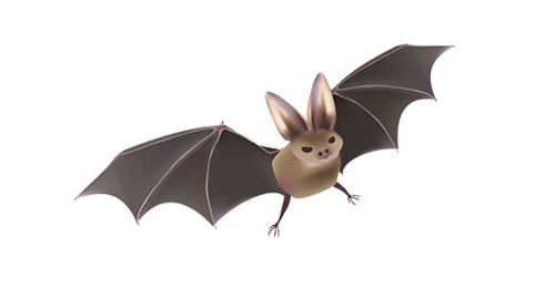 bioinsecte bioinsecte